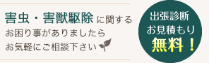 害虫・害獣駆除に関するお困り事がありましたらお気軽にご相談下さい